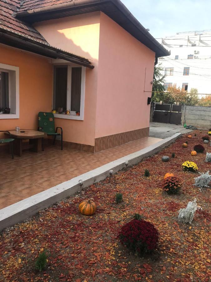 Permissive Villa Cluj-Napoca Eksteriør bilde